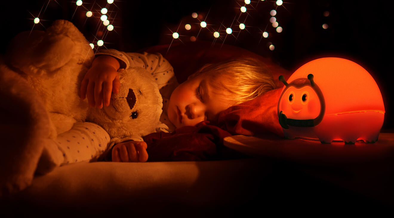 Bedbug photo